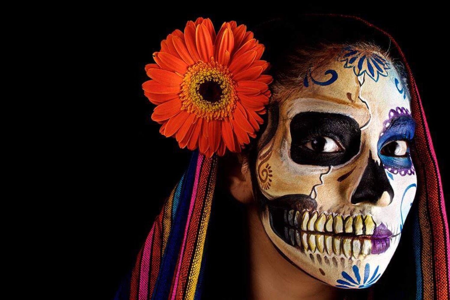 Primer plano de catrina con gerbera