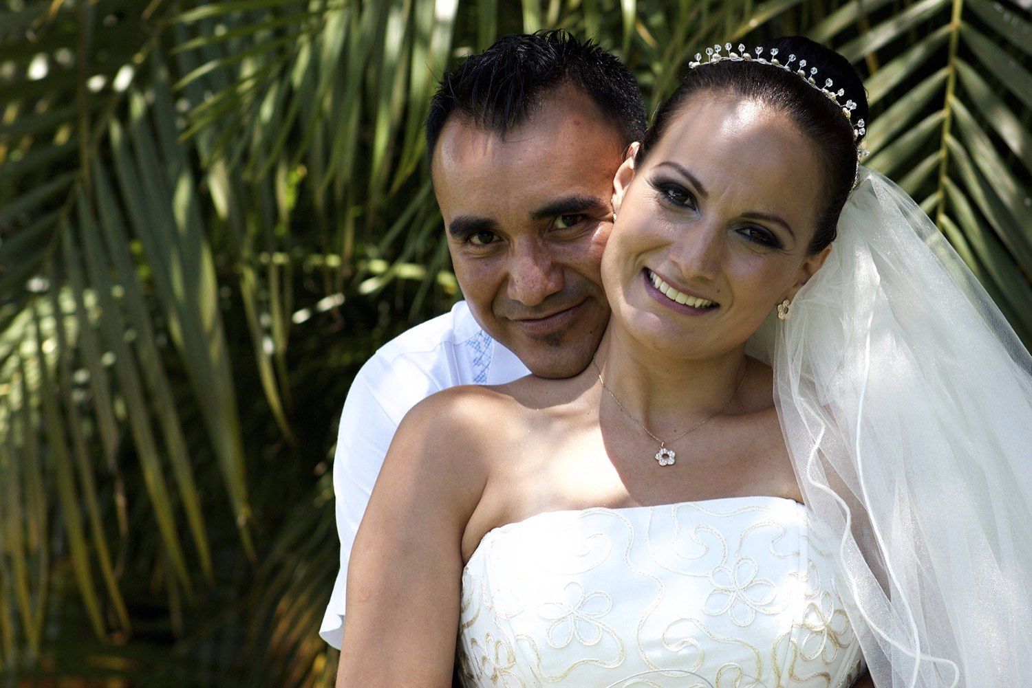 Retrato de los novios abrazados frente a las palmas